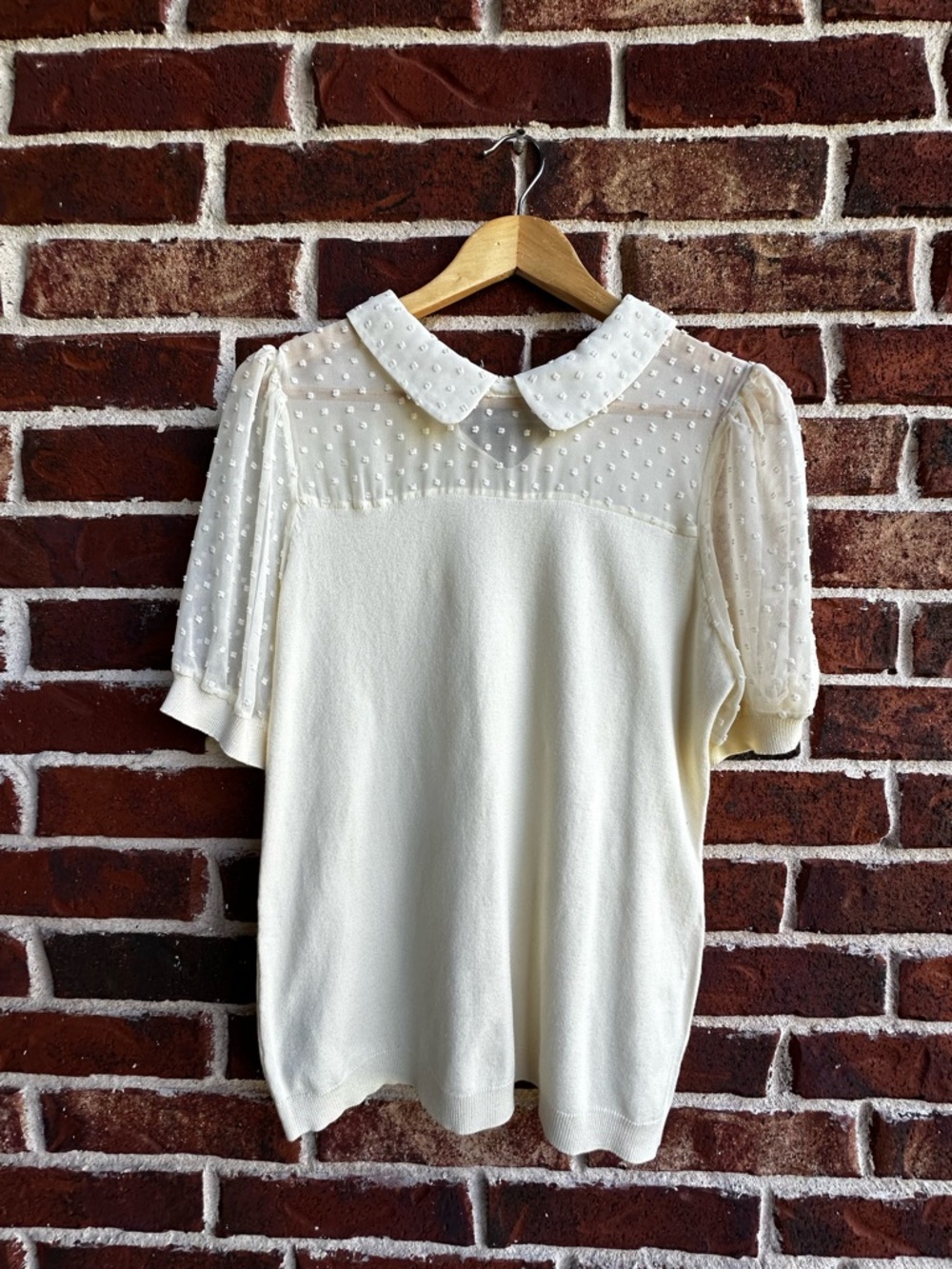Adrianna Papell Cream Dotted Sheer Yoke Peter Pan Collar Top